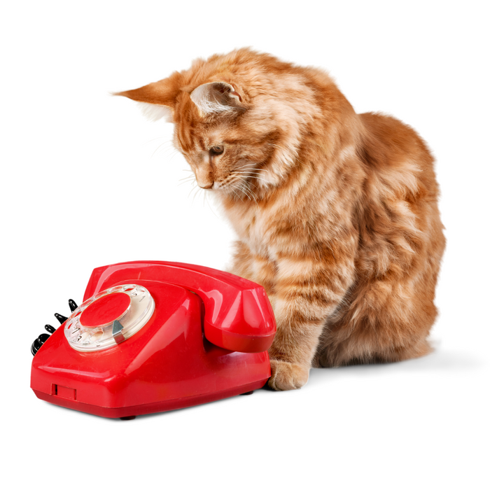 ติดต่อ EloopThailand